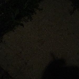 Meet your Posher, Todd